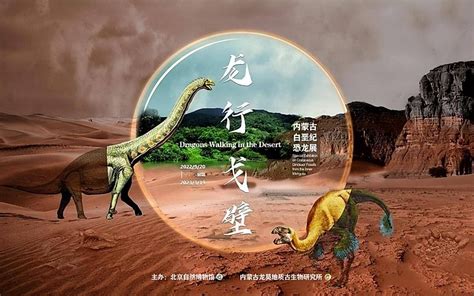 蒙古有哪些恐龍：探索古大陆的神秘生物